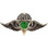 Eagle Emblems P40036 Wing-Saudi, Jump (2-1/2")