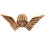 Eagle Emblems P40037 Wing-Rhodesia, Jump (2-1/2")