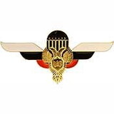 Eagle Emblems P40041 Wing-Russian, Jump (2-1/2