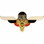Eagle Emblems P40041 Wing-Russian, Jump (2-1/2")