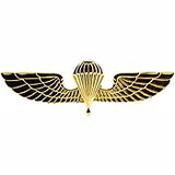 Eagle Emblems P40049 Wing-Greek, Jump (2-5/8