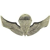 Eagle Emblems P40050 Wing-Chilean, Jump, Current (1-7/8
