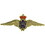 Eagle Emblems P40063 Wing-Canadian, Raf, Wwii (3-1/4")