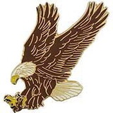 Eagle Emblems P40202 Pin-Eagle, Land, Left (1-1/2