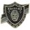 Eagle Emblems P52069 Pin-Nfl, Logo, Raiders (1")