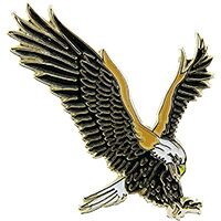 Eagle Emblems P60016 Pin-Eagle,Landing (1")