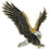 Eagle Emblems P60016 Pin-Eagle, Landing (1")