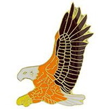 Eagle Emblems P60018 Pin-Eagle, Large (1