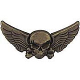 Eagle Emblems P60435 Wing-Skull & Wings (1-1/4