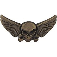 Eagle Emblems P60435 Wing-Skull &Amp; Wings (1-1/4")