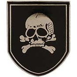 Eagle Emblems P61876 Pin-Skull & Bones, Shield (1