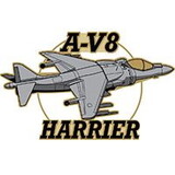 Eagle Emblems P62313 Pin-Apl, Av-8 Harrier, Camo (1-1/2