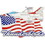 Eagle Emblems P62419 Pin-T/B,F-016 Thunderbird USA Flag, (1-1/8")