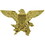 Eagle Emblems P62468 Pin-Army,Inspector (1")