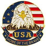 Eagle Emblems P62563 Pin-Usa, Flag, Eagle, Circle (1