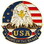 Eagle Emblems P62563 Pin-Usa, Flag, Eagle, Circle (1")