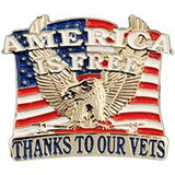 Eagle Emblems P62687 Pin-Usa,America Is Free (1