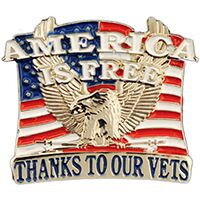 Eagle Emblems P62687 Pin-Usa,America Is Free (1")
