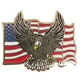 Eagle Emblems P62740 Pin-Usa,Flag,Eagle (1-1/8