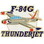Eagle Emblems P62748 Pin-T/B, F-084G Thunder 1953-1954 (1-1/2")