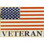 Eagle Emblems P62884 Pin-Usa Flag, Veteran (1")
