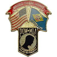 Eagle Emblems P62931 Pin-Pow/Usa/De (CLOSEOUT), (1-1/4")