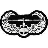 Eagle Emblems PM0177 Patch-Army, Air Asslt.Wing (4-1/8