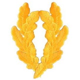 Eagle Emblems PM0255 Patch-Scram.Egg, Gold (Pair) (3-3/4