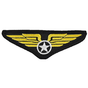 Eagle Emblems PM0360 Patch-Usn,Top Gun Wing (3-3/4")