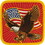 Eagle Emblems PM0369 Patch-Usa, Eagle, Flag (3")