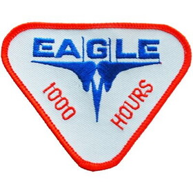 Eagle Emblems PM0377 Patch-Usaf,Eagle 1000 Hrs (3")