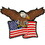 Eagle Emblems PM0805 Patch-Usa,Eagle,Flag (4-3/8")