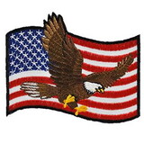 Eagle Emblems PM3152 Patch-Usa, Eagle (3-1/2