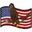 Eagle Emblems PM3152 Patch-Usa,Eagle (3-1/2")