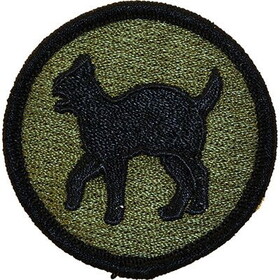Eagle Emblems PM3677 Patch-Army,081St Reg.Read (SUBDUED), (3")