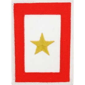Eagle Emblems PM3856 Patch-Family Memb.Gold STAR HONOR, (2-1/2"x3-1/2")