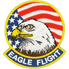 Eagle Emblems PM5254 Patch-Usa,Eagle Flight (3-3/8")