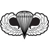 Eagle Emblems PM7909 Patch-Army, Para (6-1/2