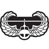 Eagle Emblems PM7913 Patch-Army, Air Assult (6-1/2
