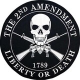 Eagle Emblems PM9076 Patch-2Nd Amendment,1789. (12