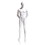 Econoco EAMH-3 Male Mannequin - Molded Head, Hands Behind Back, Legs Straight, 73"H - Chest: 37", Waist: 30", Hip: 38", True White #109, Price/Each