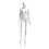 Econoco EVE-4H-OV Female Mannequin - Oval head, Arms by Side, Right Leg Slightly Forward, 71"H - Bust: 34", Waist: 25", Hip: 35", True White, Price/Each