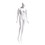 Econoco EVE-5H-OV Female Mannequin - Oval head, Arms by Side, Right Leg Slightly Forward, 71"H - Bust: 34", Waist: 25", Hip: 35", True White, Price/Each