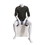 Econoco GEN-5-HL Male Mannequin - Headless, Seated, 63"H - Chest: 37", Waist: 30, Hip: 37", True White, Price/Each