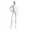 Econoco MGFH-3 Female Mannequin - Molded Hair, Right Hand on Hip, Right Leg to Side, 71"H - Bust: 34", Waist: 25", Hip: 35", True White #109, Price/Each