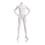 Econoco RWMHDLB3 Male - Headless facing straight, hands on hips, Finish: True White, Price/Each