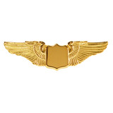Johnson'S Jewelry AV-WNG2-THG Flight Wings Pin , Gold, 1-1/2 Inch
