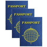 Ashley Productions ASH10708-3 Blank Passports 12 Per Pk (3 PK)