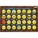 Ashley Productions ASH93006 Chart French Emoji How You Feeling, Dry-Erase Surface