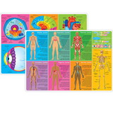 Ashley Productions ASH95019 Human Body Learning Mat 2 Sided, Write On Wipe Off